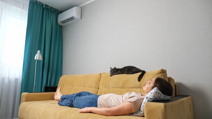エアコンの下で眠る人と猫