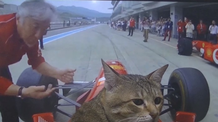 F1に乗って振り向く猫と白髪の男性