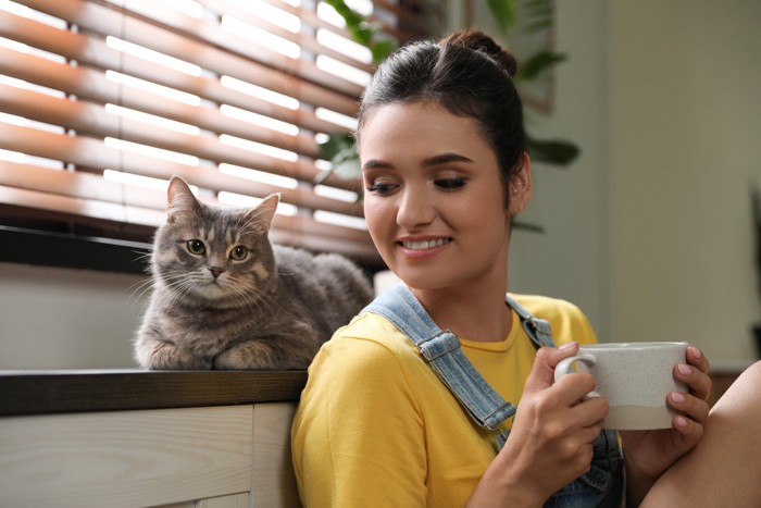 窓辺の猫とカップを持つ女性