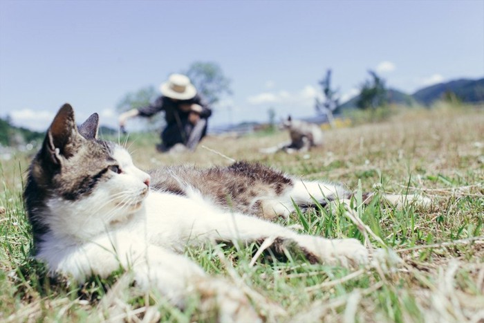 草原で寝転ぶ猫と農家の女性