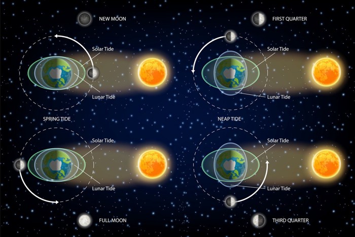 月と太陽の潮汐図