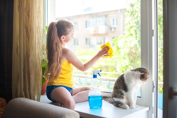窓を拭く少女と猫