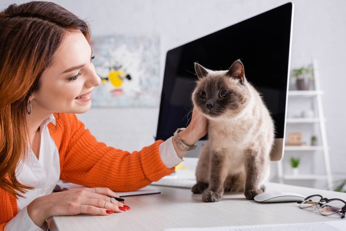 机の上の猫を撫でる女性