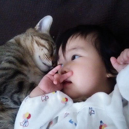 猫と赤ちゃんツーショット