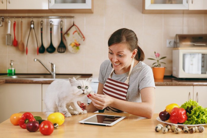 キッチンでペルシャ猫と若い女性