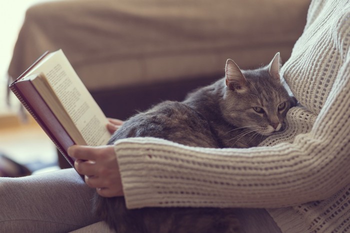 読書をする飼い主の膝に乗る猫