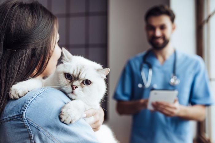 獣医師と愛猫を抱っこする女性