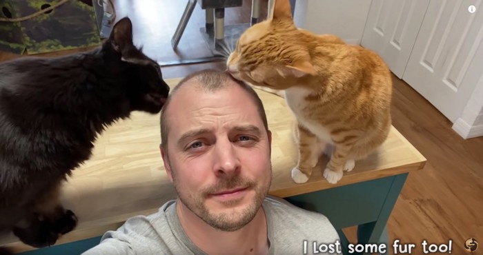 男性と2匹の猫