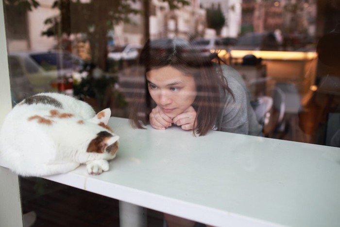 テーブルの上で眠る猫をじっと見つめる女性