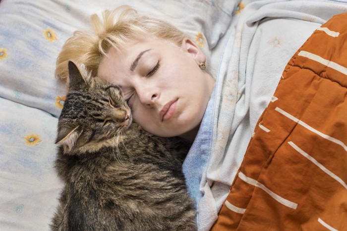女性の顔に寄りかかって寝る猫