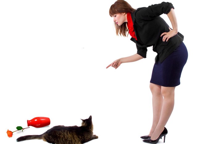 花瓶を倒した猫とそれを叱る女性