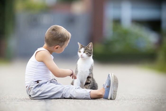 道に座って猫に話しかけている男の子