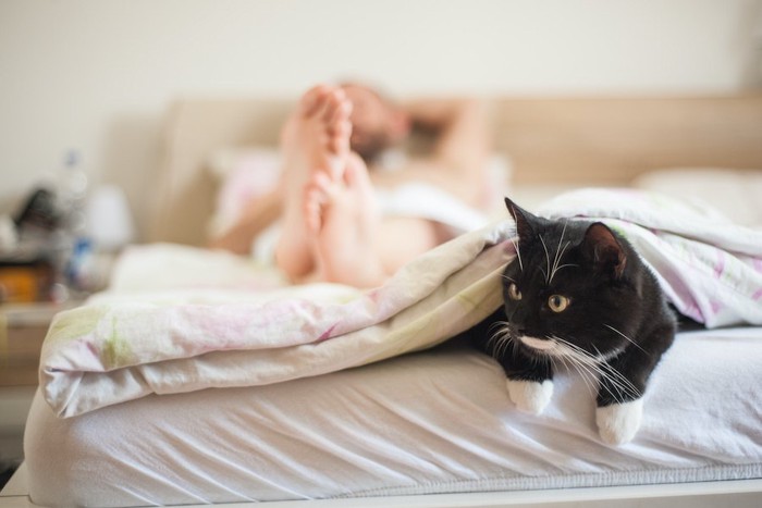 ベッドで眠る飼い主の足元から顔を出す白黒の猫