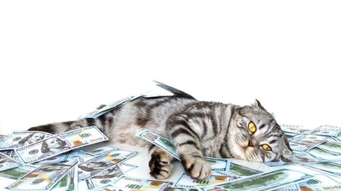 猫とお金