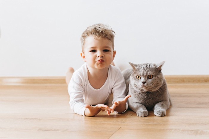 金髪の赤ちゃんとグレーの猫