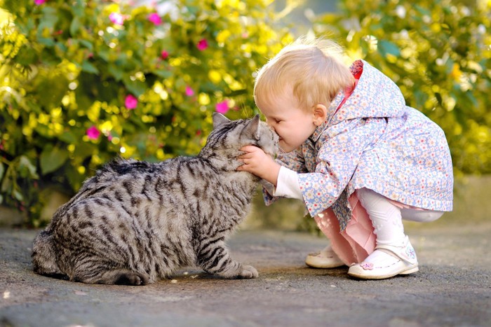キスする子供と猫