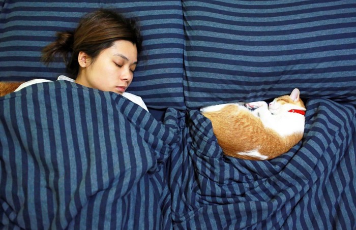 女性と一緒に眠っている猫