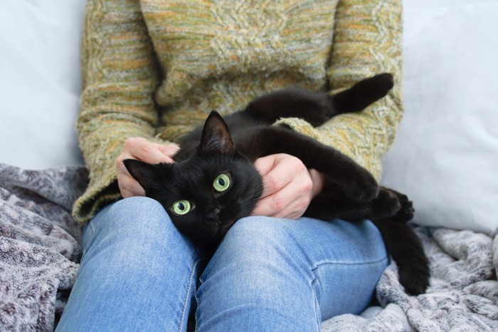 女性の膝の上の黒猫