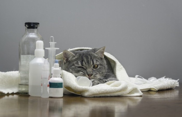 薬の瓶とタオルにくるまった猫