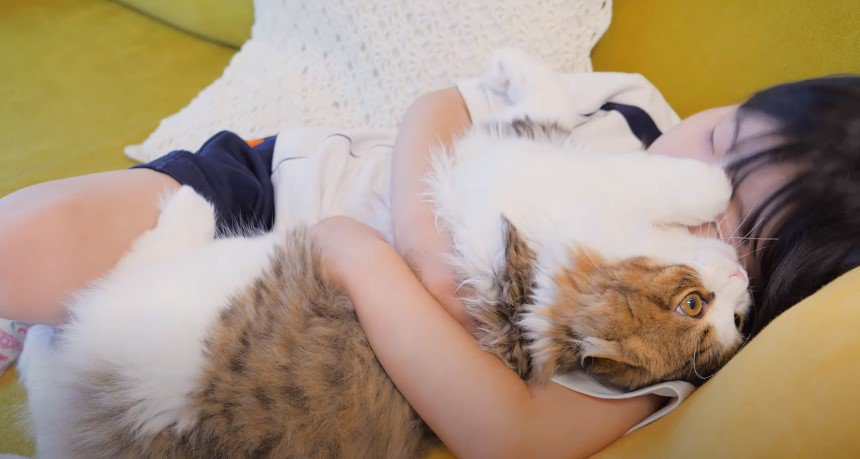 ソファーで猫を抱きしめる少女
