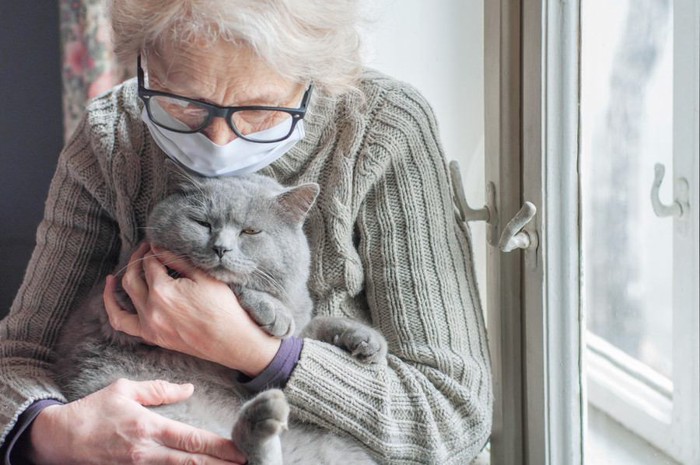 老齢の女性に抱かれる猫