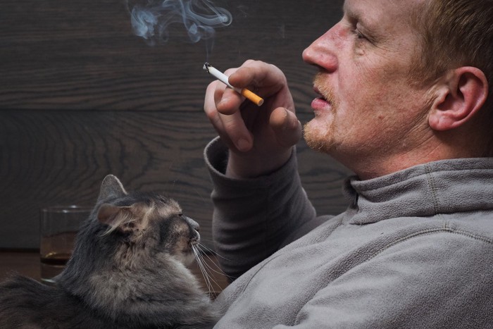 喫煙男性の膝の上にいる猫
