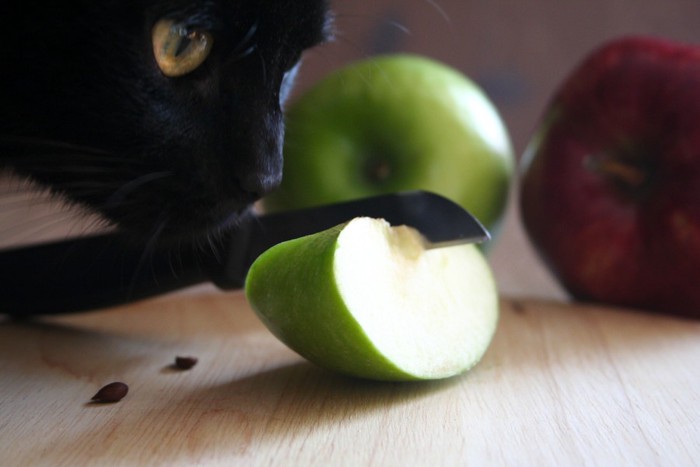 青リンゴと猫