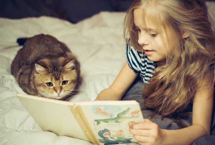 子供に絵本を読んでもらう猫