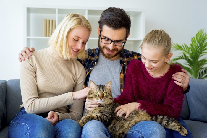猫と家族