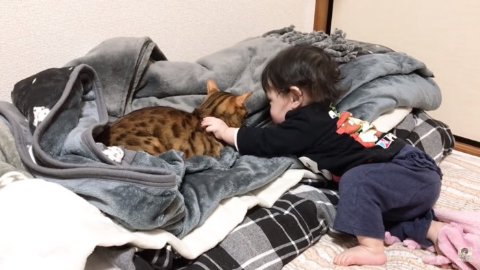 猫を撫でる赤ちゃん