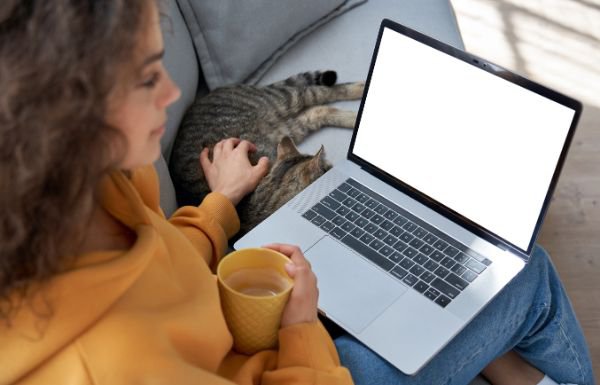 パソコンを見る女性と猫