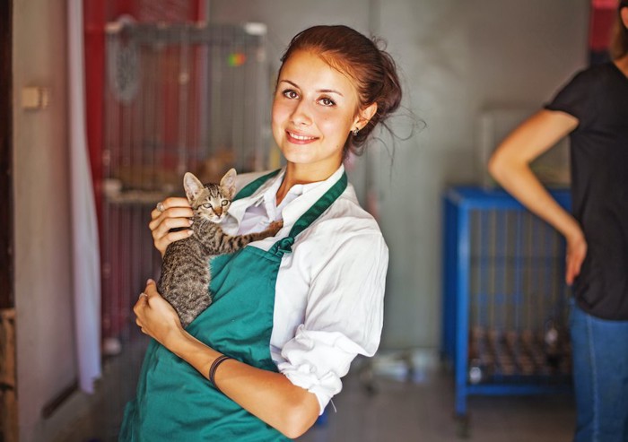 エプロンをして子猫を抱っこしている女性