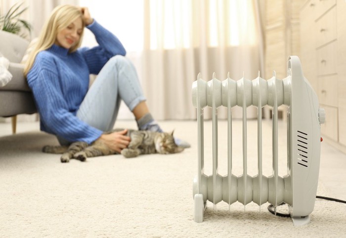 暖房器具と猫と女性