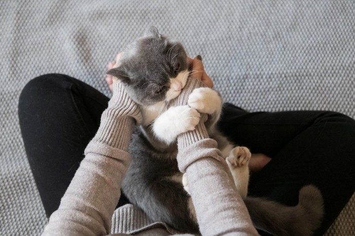 女性の手を噛む猫