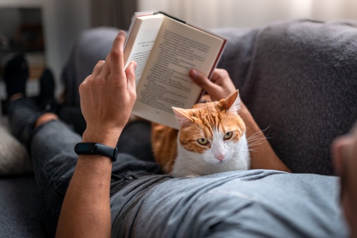 男性が見ている本を覗き込む猫
