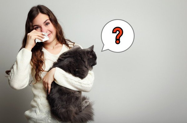 猫アレルギーが「出る猫」と「出ない猫」がいるって本当？