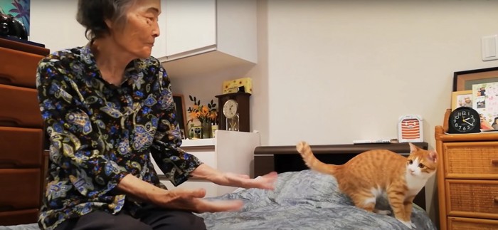 ベッドの上のおばあちゃんと猫