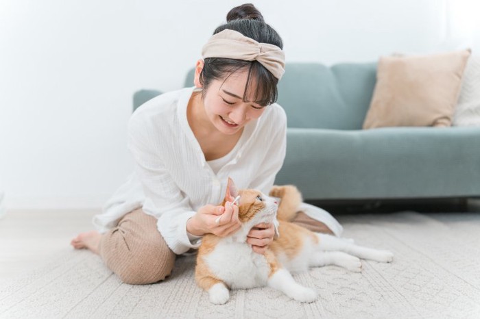 猫の耳掃除をする女性