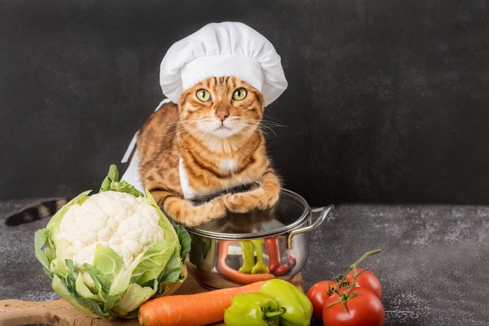 鍋のうえのコック姿の猫と野菜