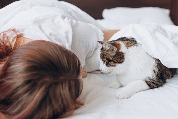 ベッドの中で飼い主と見つめ合う猫