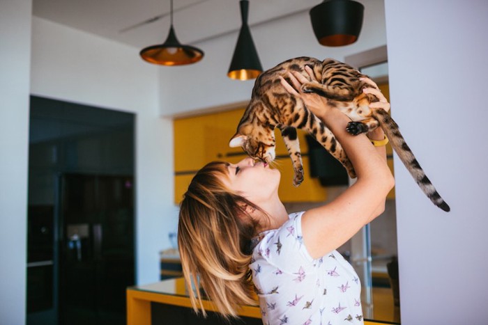 ベンガル猫を抱き上げてキスをする女の子