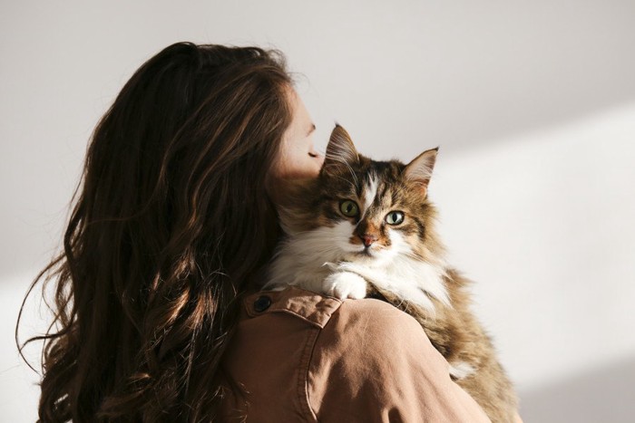 髪の長い女性に抱っこされる猫