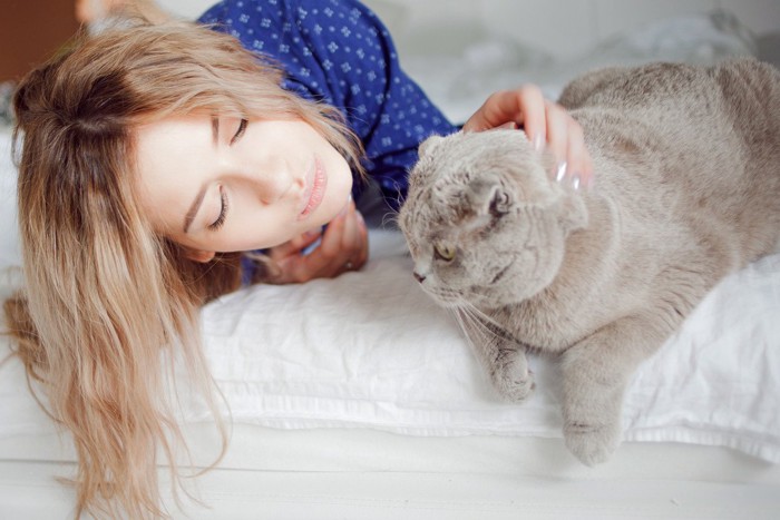 ベッドの上にいる女性とグレーの猫