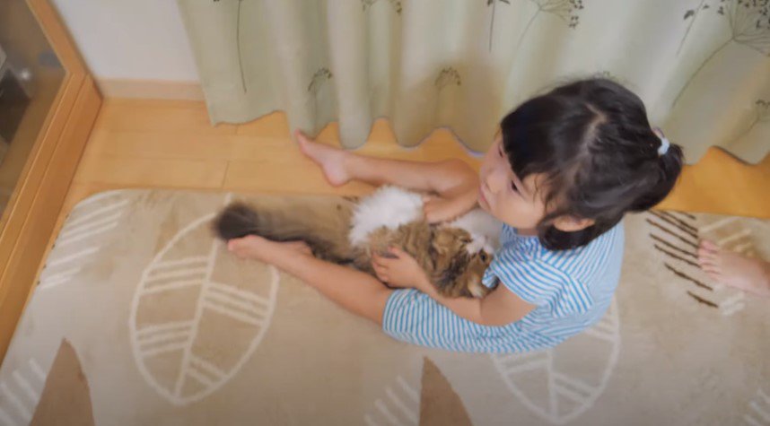 床に座って猫を抱く少女