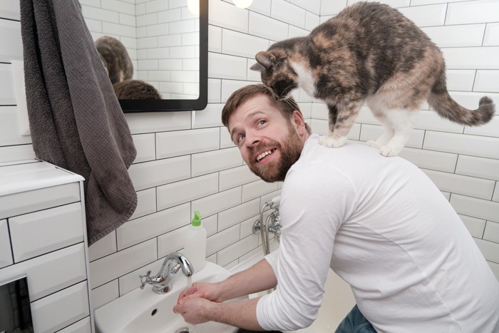 手洗いする男性の肩に乗る猫