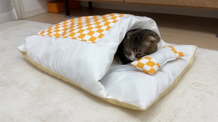 布団の中で寝る猫