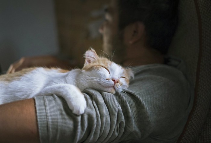 男性に抱っこされて眠っている猫