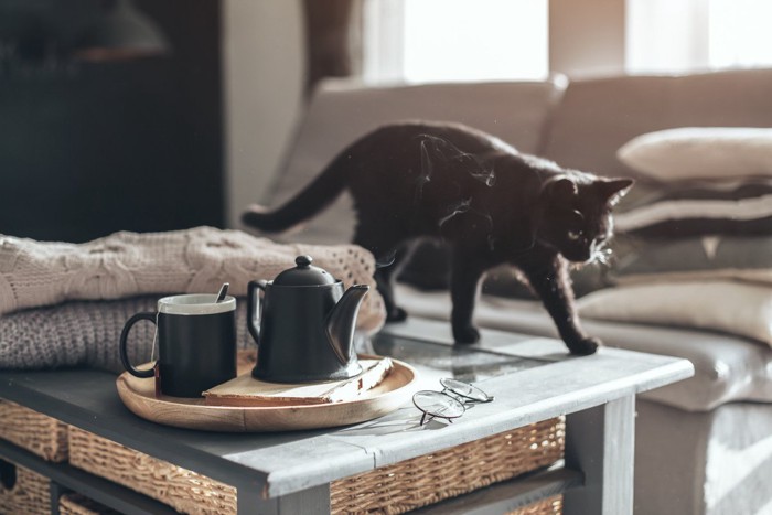コーヒーの乗っているテーブル上を歩く猫