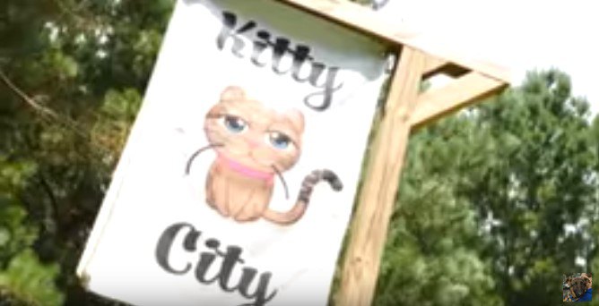 キティ・シティの看板