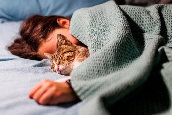 ベッドで眠る女性と猫